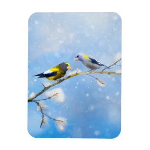 Evening Grosbeak schilderen - Kute Original Dog Ar Magneet