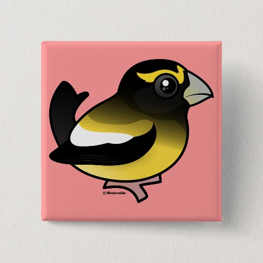 Evening Grosbeak Vierkante Button 5,1 Cm (Voorkant)