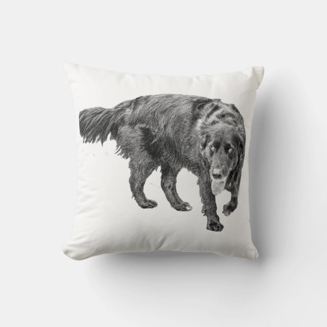Evening Guardian Comfort Kussen (Voorkant)