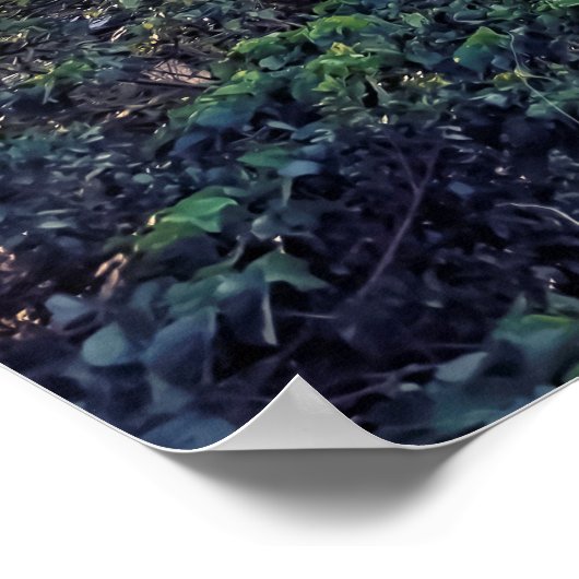 Evening in Taipei Poster (Hoek)