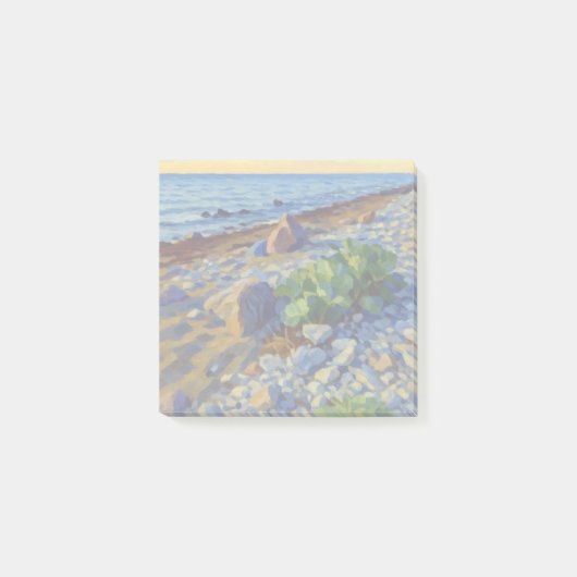 Evening light on the coast of Vormsi Post-it® Notes (Voorkant)