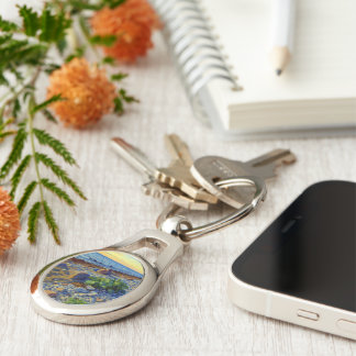 Evening light on the coast of Vormsi Sleutelhanger