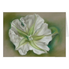 Evening Moonflower Pastel Art