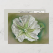 Evening Moonflower Pastel Art Briefkaart (Voorkant / Achterkant)