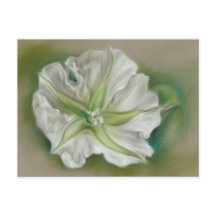 Evening Moonflower Pastel Art