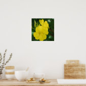 Evening Primrose Poster (Keuken)