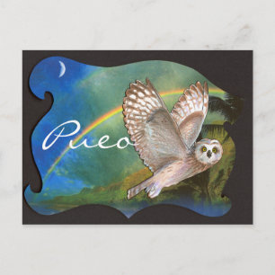 Evening Pueo Briefkaart