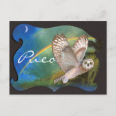 Evening Pueo Briefkaart (Voorkant)