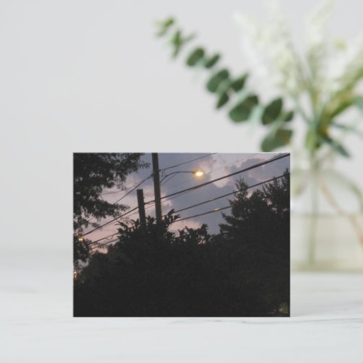 Evening Silhouettes Briefkaart (Staand voorkant)