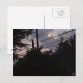 Evening Silhouettes Briefkaart (Voorkant / Achterkant)
