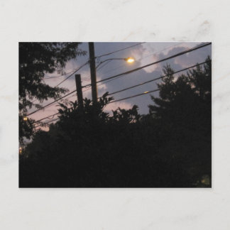 Evening Silhouettes Briefkaart