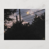 Evening Silhouettes Briefkaart (Voorkant)