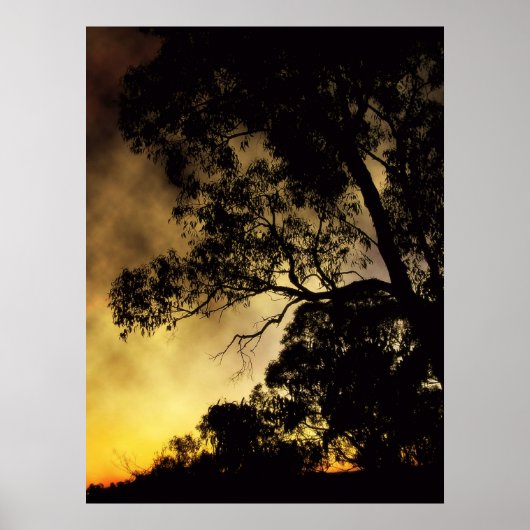 Eveningscapes Poster (Voorkant)