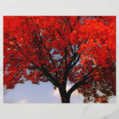 Event Flyer voor herfst Color Tour Halloween Event (Achterkant)