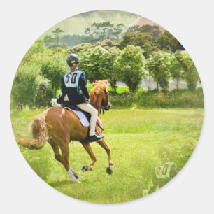 Eventuele paardenbonkers ronde sticker