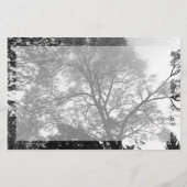 Eventuele Schilderachtig brochure voor gebeurtenis (Achterkant)