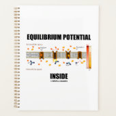 Evenwichtspotentieel binnen actief transport planner (Voorkant)