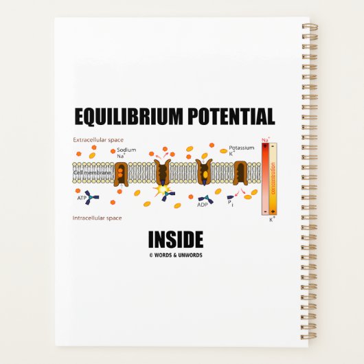 Evenwichtspotentieel binnen actief transport planner (Achterkant)