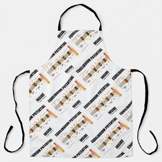 Evenwichtspotentieel binnen actief transport schort (Voorkant)