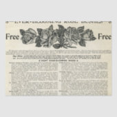 Ever-Blooming Roos Struik Magazine en vaartuigen Tissuepapier (Voorkant)