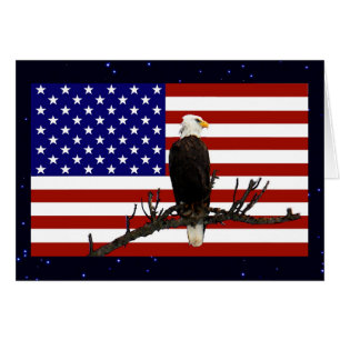 Ever Vigilant Bald Eagle