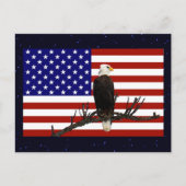 Ever Vigilant Bald Eagle Briefkaart (Voorkant)