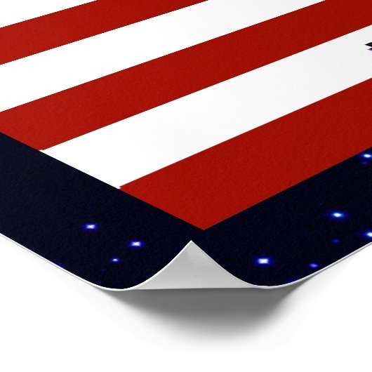 Ever Vigilant Bald Eagle Poster (Hoek)