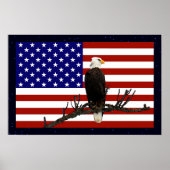 Ever Vigilant Bald Eagle Poster (Voorkant)