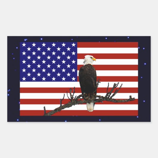Ever Vigilant Bald Eagle Rechthoekige Sticker (Voorkant)