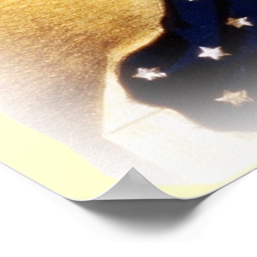 "Ever Vigilant"  Patriottisch poster (Hoek)