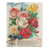  Everblooming Rozen Perfect Poster (Voorkant)