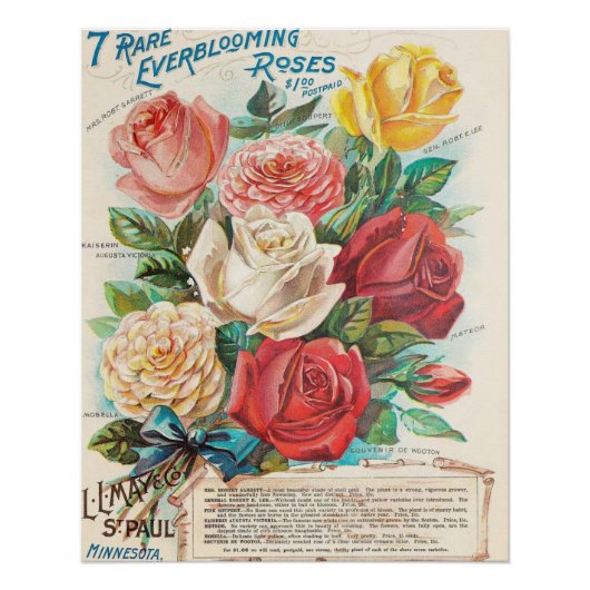 Everblooming Rozen Perfect Poster (Voorkant)