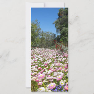 Everduurzame Flowers