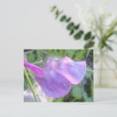 Everduurzame Sweet Pea-Briefkaart Briefkaart (Staand voorkant)