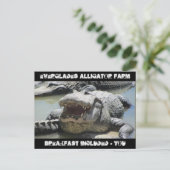 Everglades Alligator Boerderij - ontbijt inbegrepe Briefkaart (Staand voorkant)