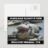 Everglades Alligator Boerderij - ontbijt inbegrepe Briefkaart (Voorkant / Achterkant)