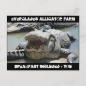 Everglades Alligator Boerderij - ontbijt inbegrepe Briefkaart (Voorkant)