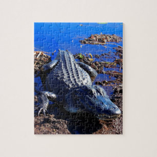 Everglades Alligator Legpuzzel