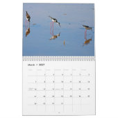 Everglades Birds Calendar Kalender (Mar 2027)