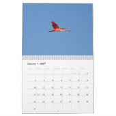 Everglades Birds Calendar Kalender (Jan 2027)