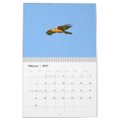 Everglades Birds Calendar Kalender (Feb 2027)