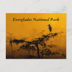 Everglades Briefkaart