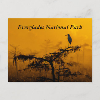 Everglades Briefkaart