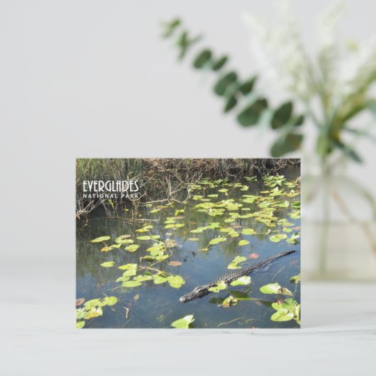 Everglades Briefkaart (Staand voorkant)