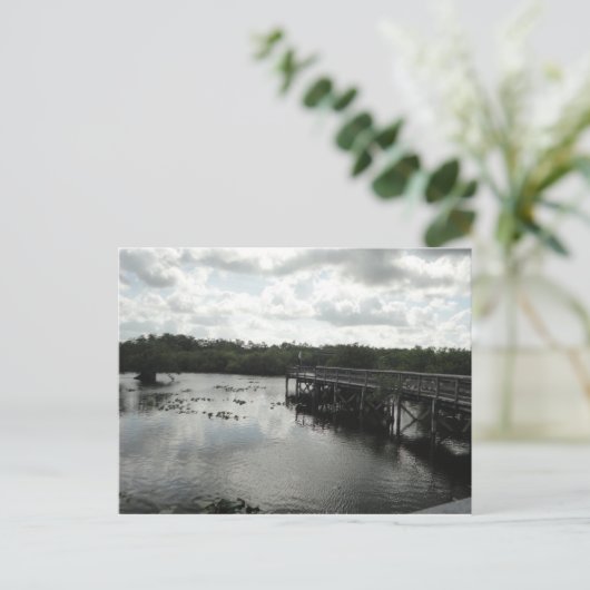 Everglades Briefkaart (Staand voorkant)