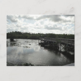 Everglades Briefkaart