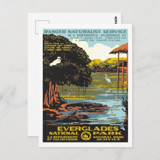Everglades Briefkaart (Voorkant / Achterkant)