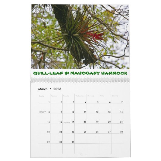 Everglades Calendar Kalender (Mar 2026)