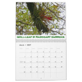 Everglades Calendar Kalender (Mar 2027)