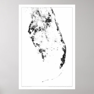 Everglades Census Dotmap Poster